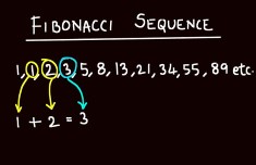 fibonacci system