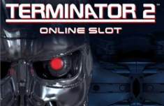 teminator 2 slot machine